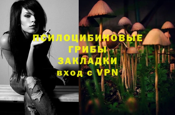 Альфа ПВП Алзамай